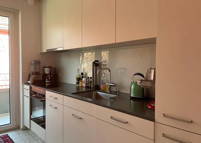 Charming 2 In Peaceful Brunau アパート チューリッヒ