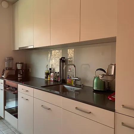 Charming 2 In Peaceful Brunau Apartamento Zurique